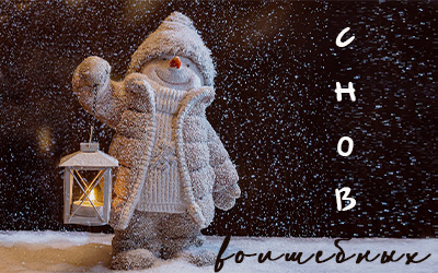 Спокойной зимней ночи Спокойной зимней ночи